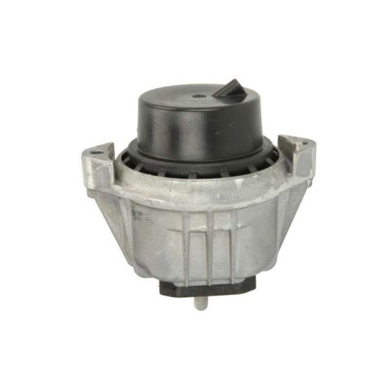 Support moteur REINHOCH RH11-3032 - Visuel 1