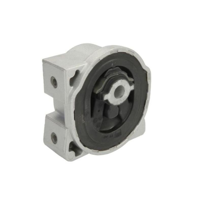 Support moteur arrière gauche REINHOCH RH11-3039 - Visuel 1