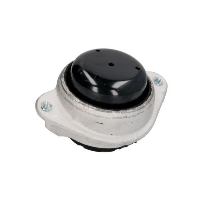 Support moteur REINHOCH RH11-3042 - Visuel 1