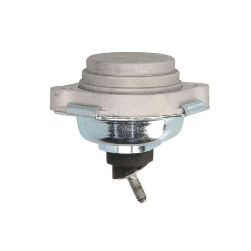 Support moteur REINHOCH RH11-3069 - Visuel 1