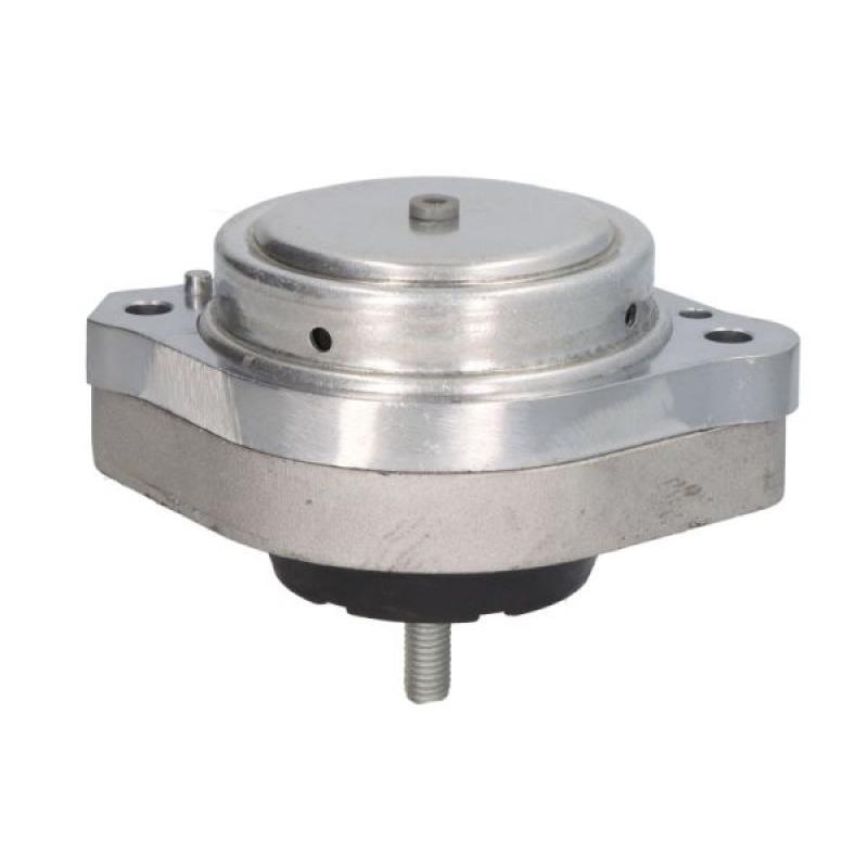 Support moteur REINHOCH RH11-3077 - Visuel 1