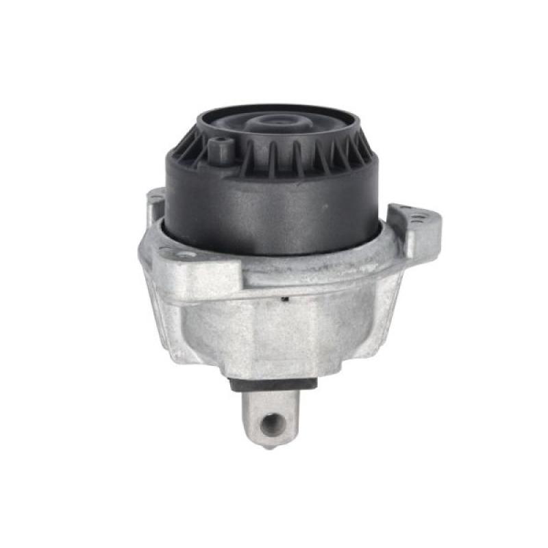 Support moteur REINHOCH RH11-3116 - Visuel 1