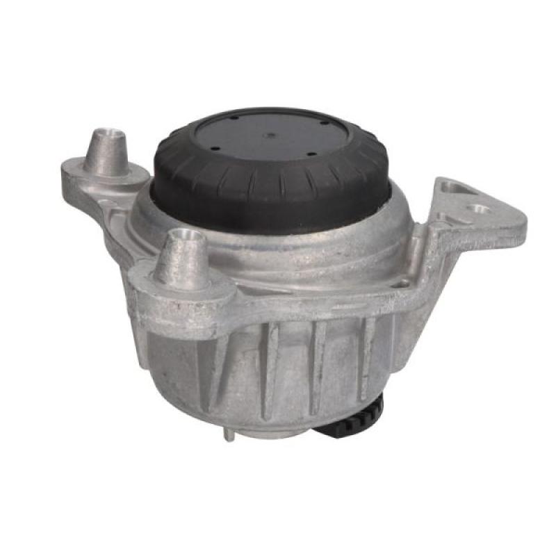 Support moteur REINHOCH RH11-3121 - Visuel 1