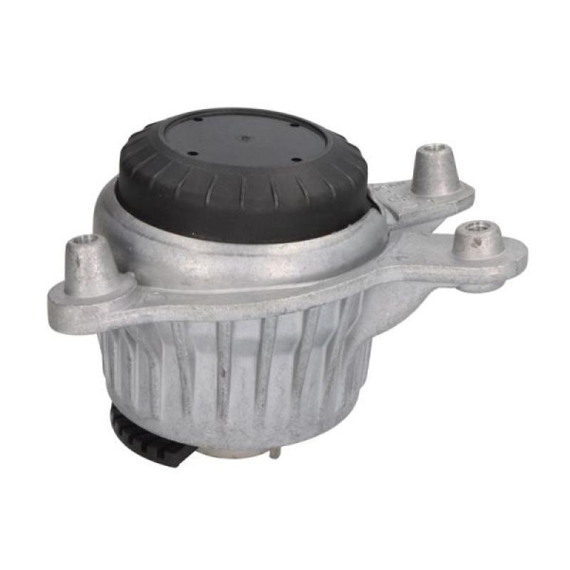 Support moteur REINHOCH RH11-3133 - Visuel 1