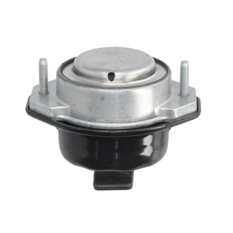 Support moteur REINHOCH RH11-3158 - Visuel 1