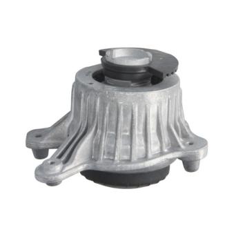 Support moteur REINHOCH [RH11-3160]