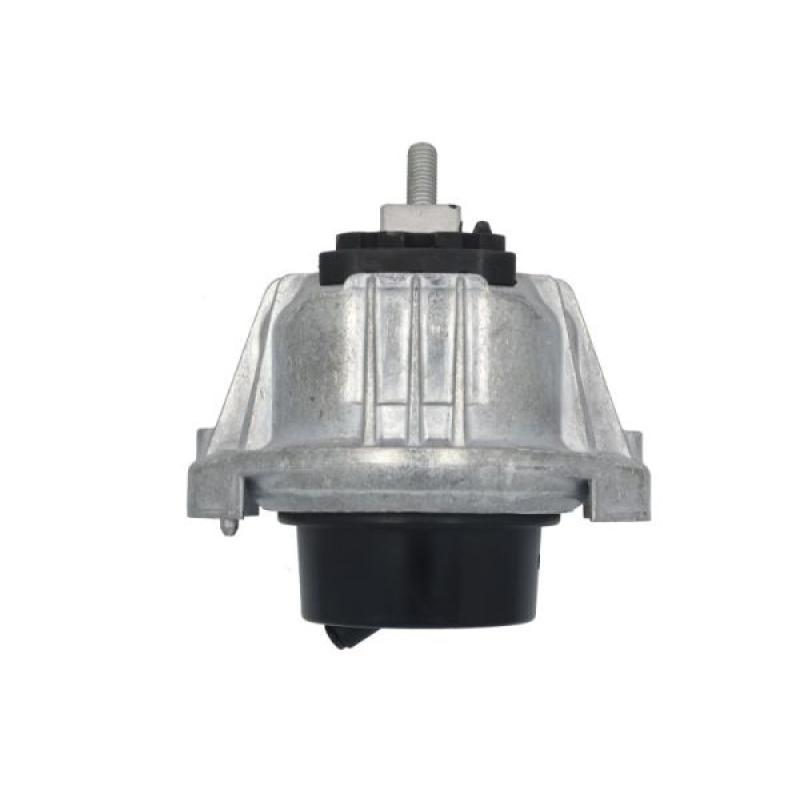 Support moteur REINHOCH RH11-3173 - Visuel 1