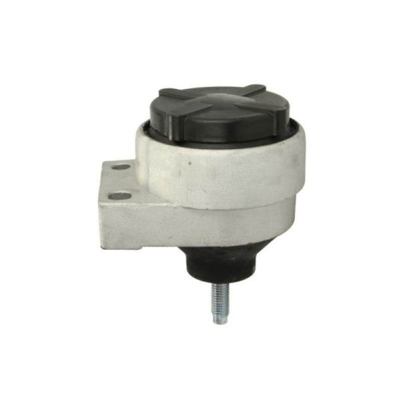Support moteur REINHOCH RH11-4007 - Visuel 1
