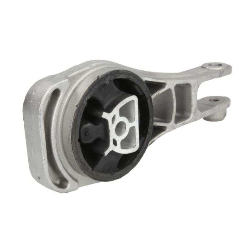 Support moteur REINHOCH RH11-4041 - Visuel 1