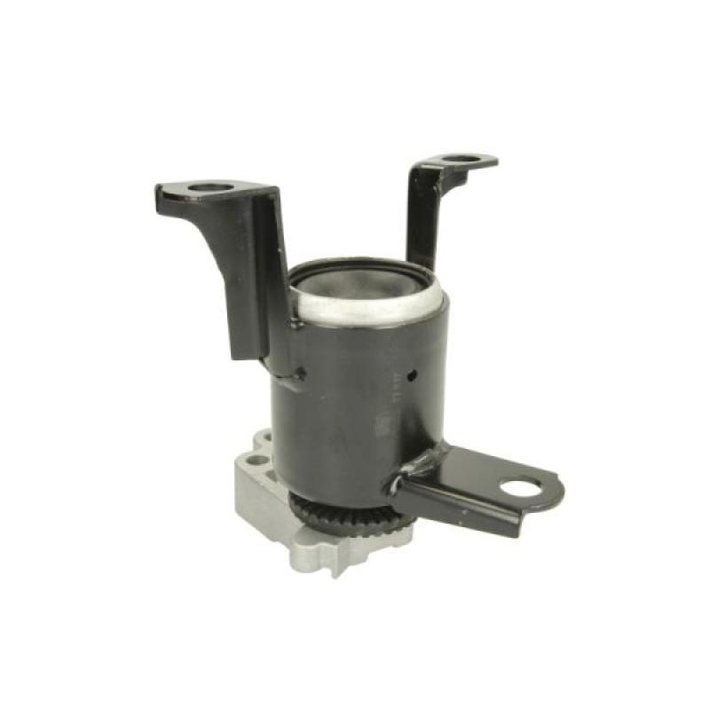 Support moteur REINHOCH RH11-4056 - Visuel 1