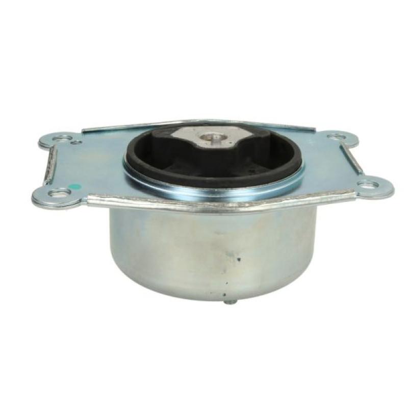 Suspension, boîte de vitesse manuelle REINHOCH RH11-5033 - Visuel 1