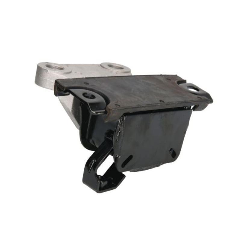 Support moteur REINHOCH RH11-5037 - Visuel 1