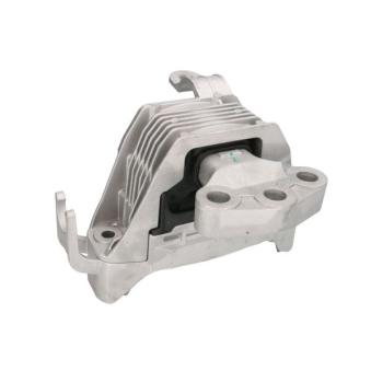 Support moteur REINHOCH [RH11-5041]