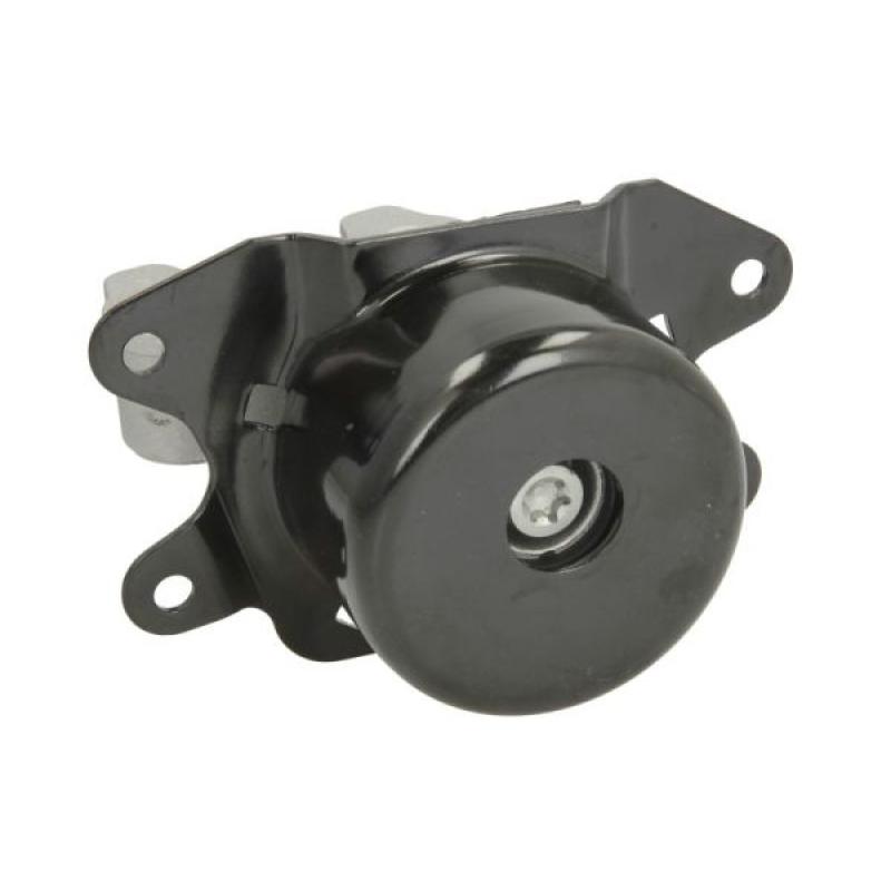 Support moteur avant gauche REINHOCH RH11-5066 - Visuel 1