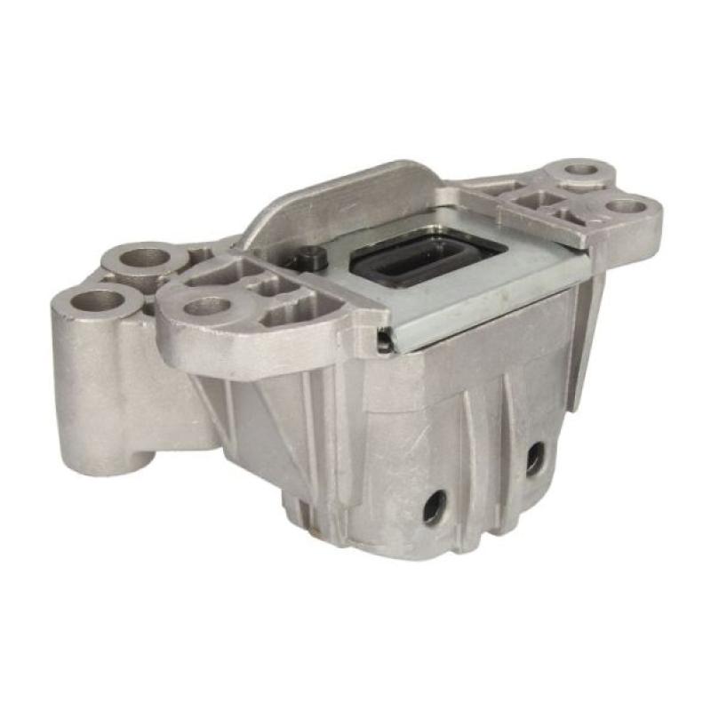 Support moteur REINHOCH RH11-6042 - Visuel 1