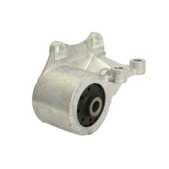 Suspension, boîte de vitesse manuelle REINHOCH OEM 701399201AE Suspension, boîte de vitesse manuelle REINHOCH OEM 701399201AE