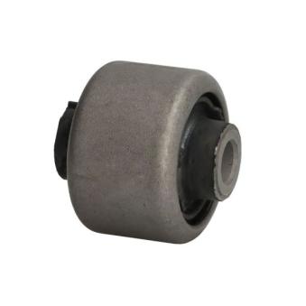 Suspension, bras de liaison avant REINHOCH RH14-4061 pour FIAT MULTIPLA 1.6 Ti - 110cv