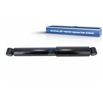 Jeu de 2 amortisseurs arrière DT OEM 5206HW
