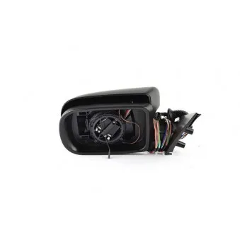 Rétroviseur extérieur BSG OEM 51168250438