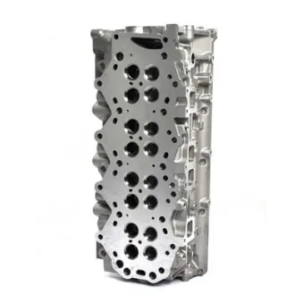 Culasse de cylindre BSG OEM WE0110100K