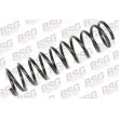 Ressort de suspension BSG [BSG 30-305-016]