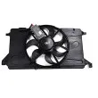BSG BSG 30-510-009 - Ventilateur, refroidissement du moteur