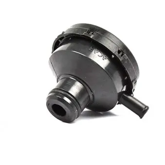 Bouchon, goulotte de remplissage d'huile BSG BSG 30-700-033