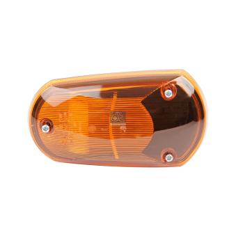 Feu clignotant DT OEM 0008201020