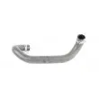 BSG BSG 30-720-002 - Durite de radiateur
