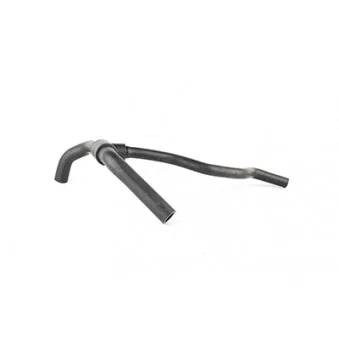 Tuyau BSG OEM 6699164