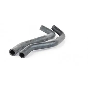 BSG BSG 30-720-083 - Durite de radiateur