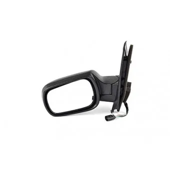 Rétroviseur extérieur BSG OEM 1315843