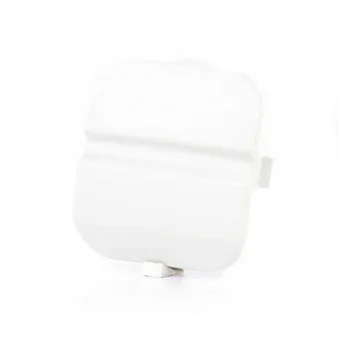 Capuchon, crochet de remorquage BSG BSG 30-922-086