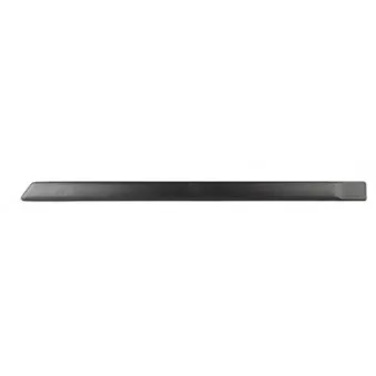 Baguette et bande protectrice, porte BSG OEM 1530692