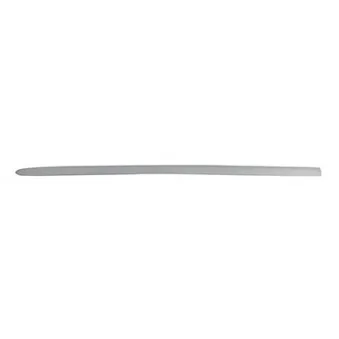 Baguette et bande protectrice, porte BSG BSG 30-924-040