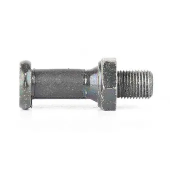 Serrure de capot de coffre BSG BSG 30-975-068