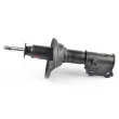 BSG BSG 40-300-001 - Amortisseur avant droit 