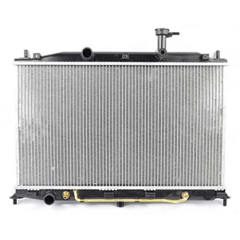 Radiateur, refroidissement du moteur BSG OEM 253101E050