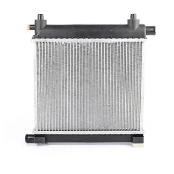 Radiateur, refroidissement du moteur BSG BSG 60-520-016