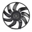 BSG BSG 65-510-022 - Ventilateur, refroidissement du moteur