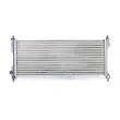 BSG BSG 65-520-001 - Radiateur, refroidissement du moteur