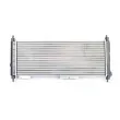 BSG BSG 65-520-002 - Radiateur, refroidissement du moteur