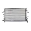 BSG BSG 65-520-011 - Radiateur, refroidissement du moteur