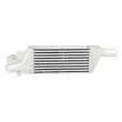 Intercooler, échangeur BSG [BSG 65-535-001]
