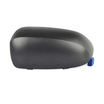 Revêtement, rétroviseur extérieur BSG OEM 1428855