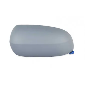 Revêtement, rétroviseur extérieur BSG OEM 09165783