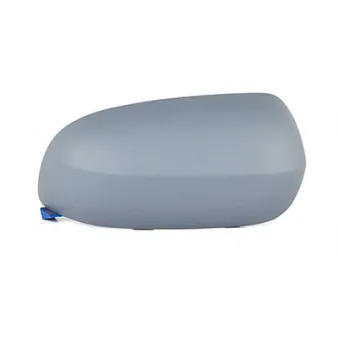Revêtement, rétroviseur extérieur BSG OEM 09165788