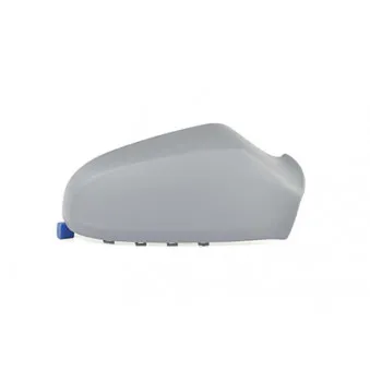 Revêtement, rétroviseur extérieur BSG OEM 6428911