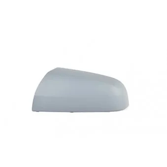 Revêtement, rétroviseur extérieur BSG OEM 6428937