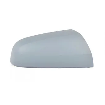 Revêtement, rétroviseur extérieur BSG OEM 6428938
